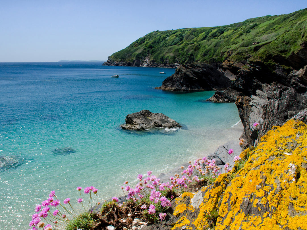 Lantic Bay in Cornwall in spring Photo Print - Canvas - Framed Photo Print - Hampshire Prints