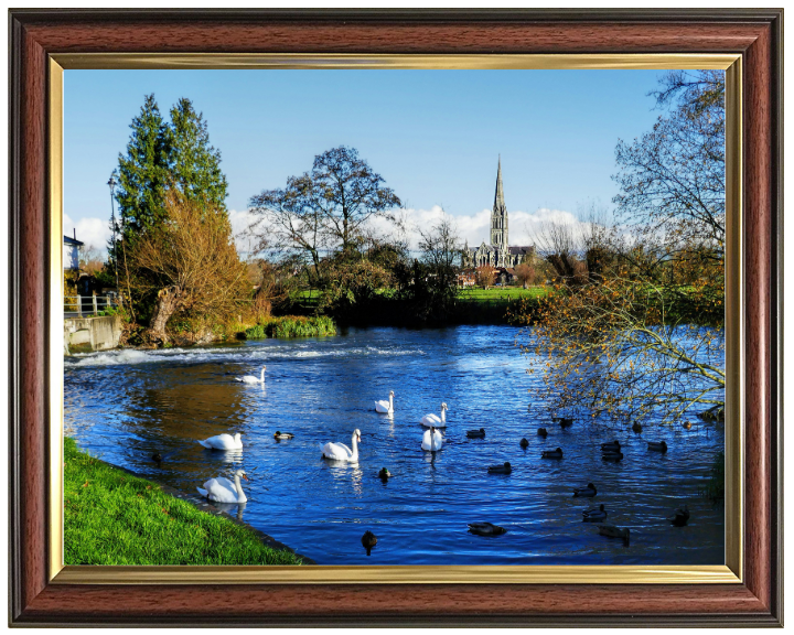 Salisbury cathedral in wiltshire Photo Print - Canvas - Framed Photo Print - Hampshire Prints