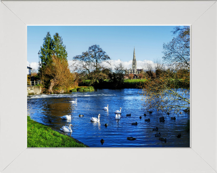 Salisbury cathedral in wiltshire Photo Print - Canvas - Framed Photo Print - Hampshire Prints