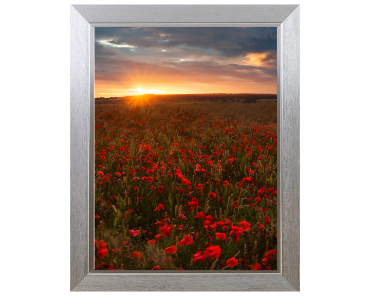 Poppies at sunset in Wiltshire Photo Print - Canvas - Framed Photo Print - Hampshire Prints