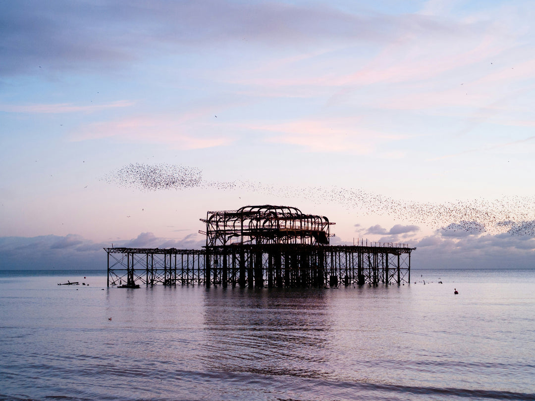 Murmuration Over The West Pier Brighton Photo Print - Canvas - Framed Photo Print - Hampshire Prints