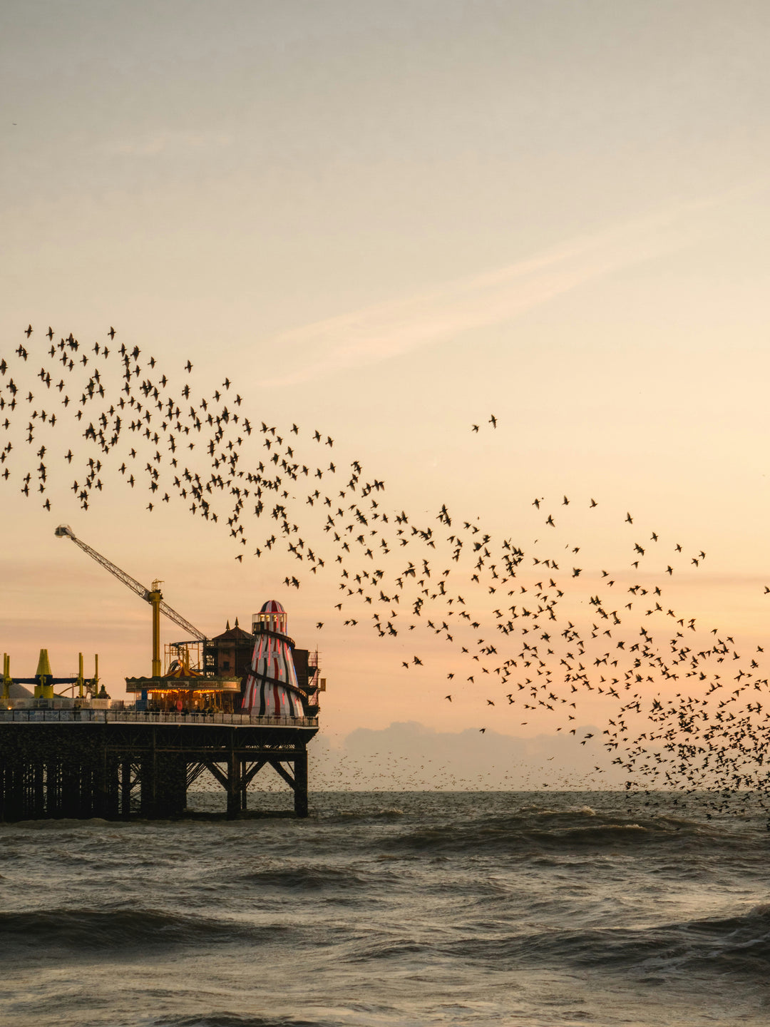 Murmurations over Brighton pier at sunset Photo Print - Canvas - Framed Photo Print - Hampshire Prints
