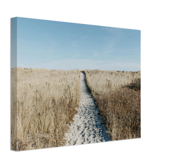 Footpath to Crane beach Suffolk Photo Print - Canvas - Framed Photo Print - Hampshire Prints