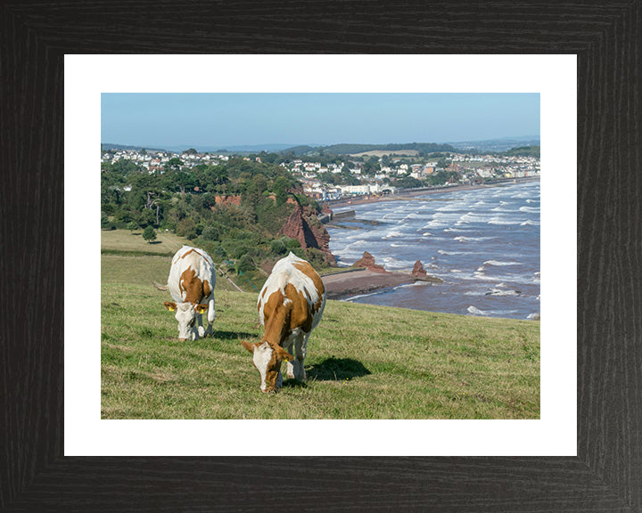The Devon coast with Dawlish in view Photo Print - Canvas - Framed Photo Print - Hampshire Prints