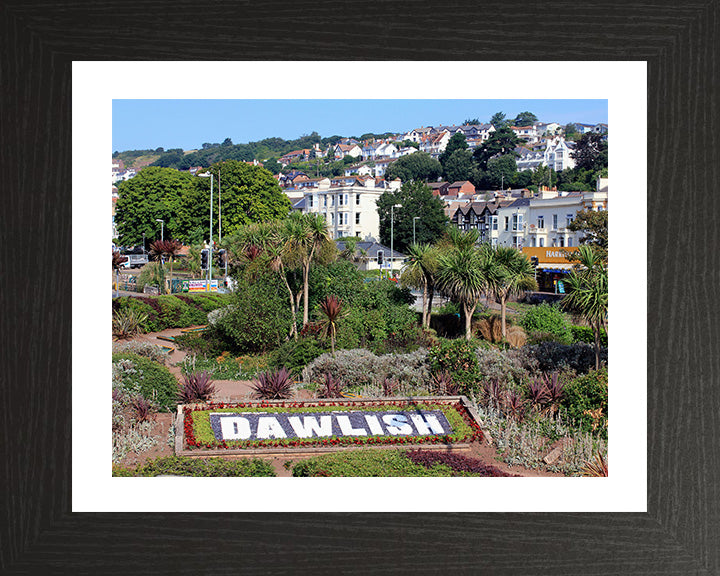 Dawlish Devon Photo Print - Canvas - Framed Photo Print - Hampshire Prints