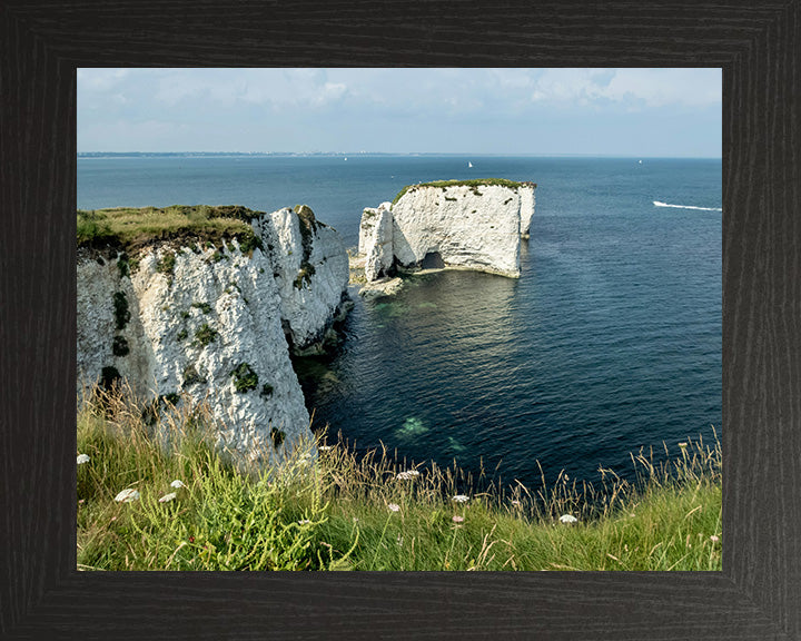 Old Harry Rocks Purbeck Dorset in spring Photo Print - Canvas - Framed Photo Print - Hampshire Prints