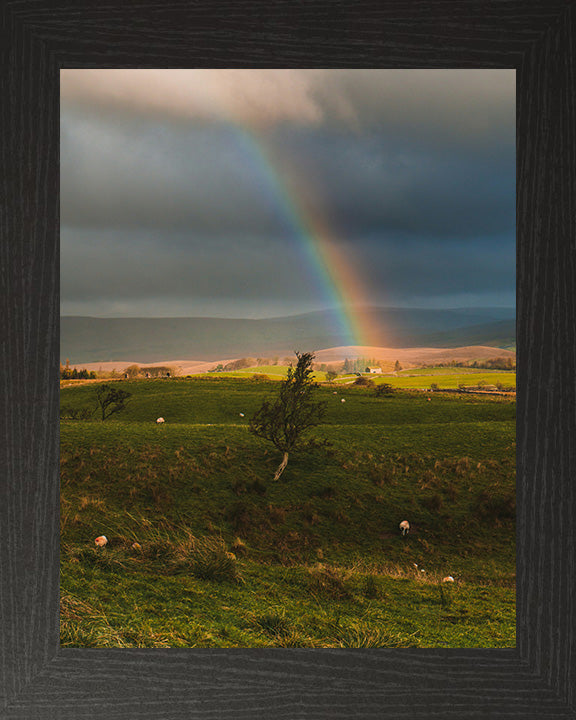 A rainbow over the Yorkshire Dales Photo Print - Canvas - Framed Photo Print - Hampshire Prints