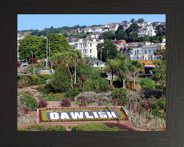 Dawlish Devon Photo Print - Canvas - Framed Photo Print - Hampshire Prints