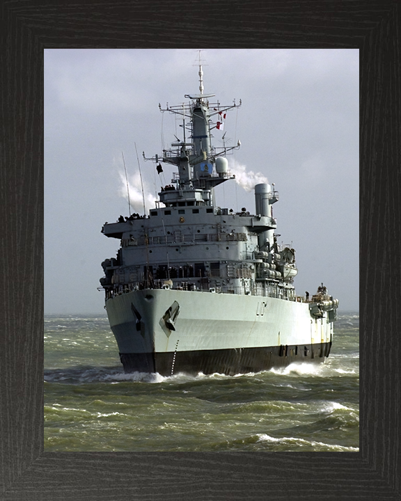 HMS Fearless L10 Royal Navy Fearless class amphibious ship Photo Print or Framed Print - Hampshire Prints