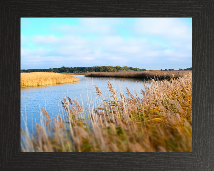 Snape Suffolk in summer Photo Print - Canvas - Framed Photo Print - Hampshire Prints