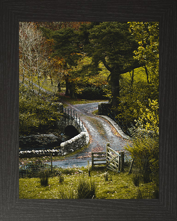 A country scene in The Yorkshire Dales Photo Print - Canvas - Framed Photo Print - Hampshire Prints