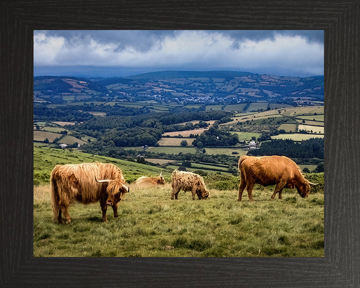Exmoor Somerset with cattle Photo Print - Canvas - Framed Photo Print - Hampshire Prints