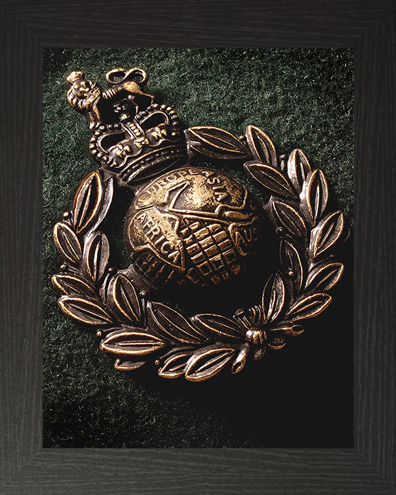 A close up of Royal Marines beret Badge Photo Print or Framed Photo Print - Hampshire Prints