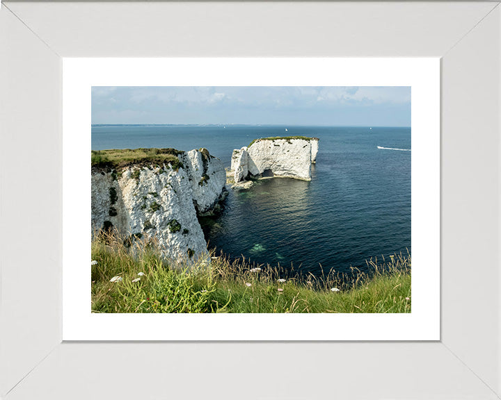 Old Harry Rocks Purbeck Dorset in spring Photo Print - Canvas - Framed Photo Print - Hampshire Prints