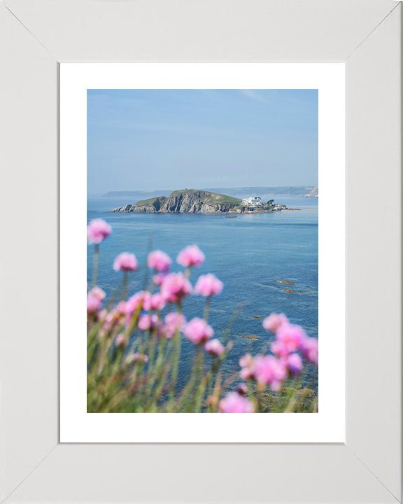 Burgh Island Devon in spring Photo Print - Canvas - Framed Photo Print - Hampshire Prints