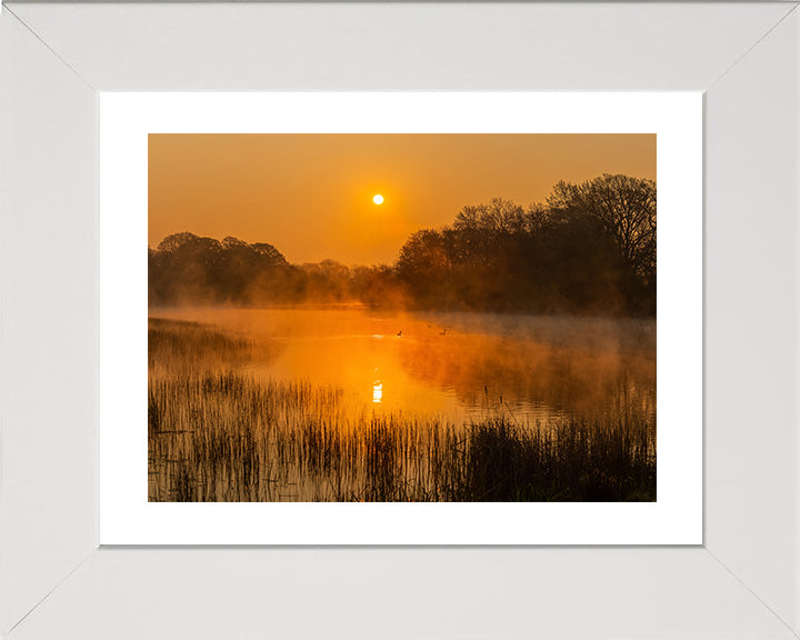 Dial post West Sussex at sunrise Photo Print - Canvas - Framed Photo Print - Hampshire Prints