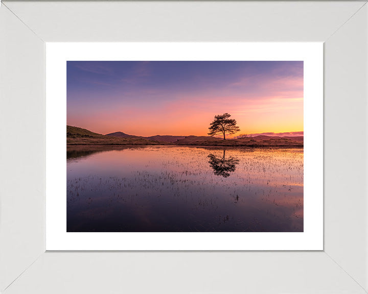 Kelly Hall Tarn Coniston Cumbria at sunset Photo Print - Canvas - Framed Photo Print - Hampshire Prints