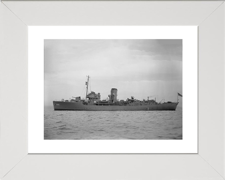 HMS Picotee K63 Royal Navy Flower class corvette Photo Print or Framed Print - Hampshire Prints