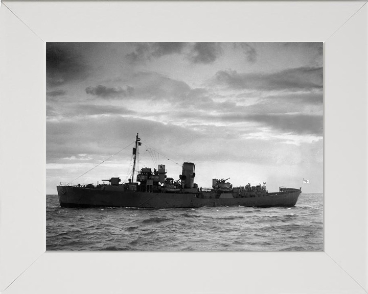 HMS Myosotis K65 Royal Navy Flower class corvette Photo Print or Framed Print - Hampshire Prints