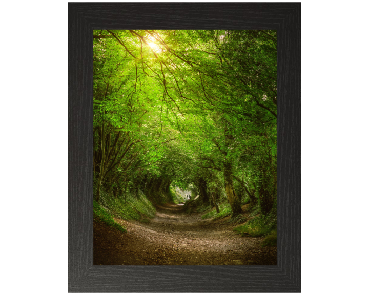 Halnaker Windmill path in West Sussex Photo Print - Canvas - Framed Photo Print - Hampshire Prints