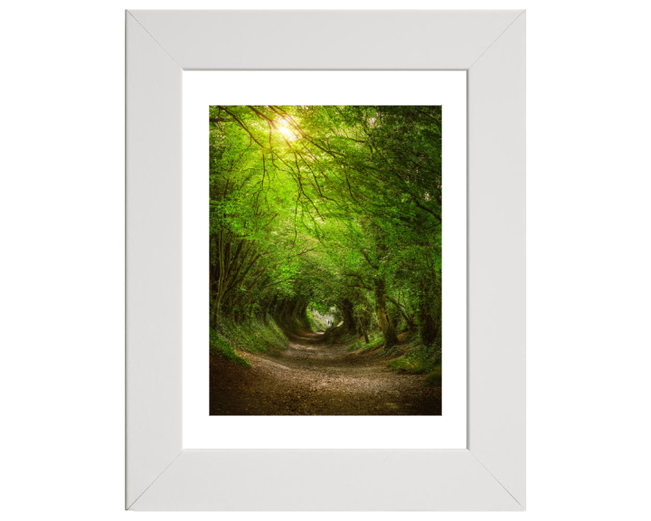 Halnaker Windmill path in West Sussex Photo Print - Canvas - Framed Photo Print - Hampshire Prints