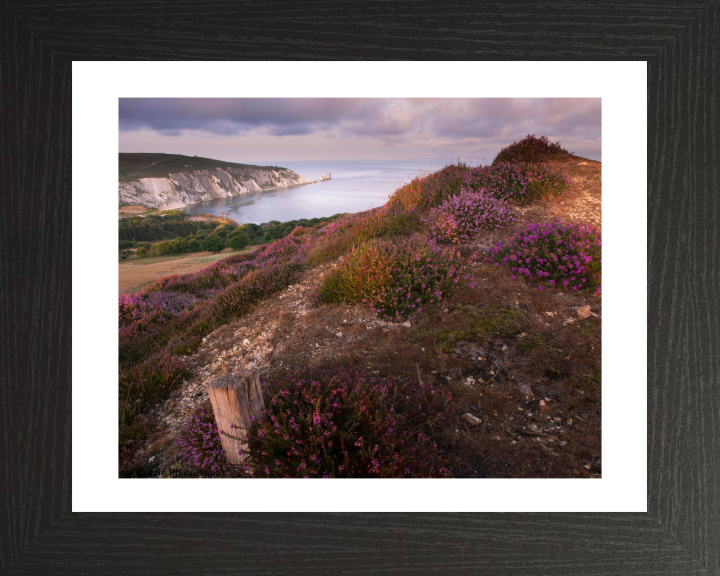 Headon Warren Isle of Wight Photo Print - Canvas - Framed Photo Print - Hampshire Prints