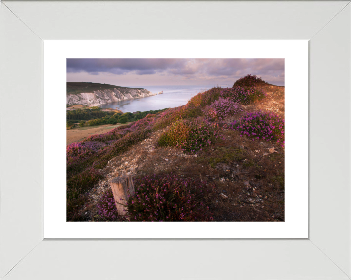 Headon Warren Isle of Wight Photo Print - Canvas - Framed Photo Print - Hampshire Prints