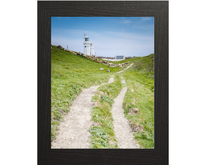 St Catherines lighthouse in spring Photo Print - Canvas - Framed Photo Print - Hampshire Prints