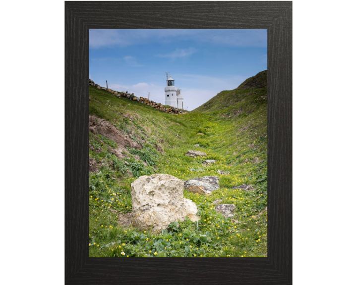 St Catherines lighthouse Niton isle of wight Photo Print - Canvas - Framed Photo Print - Hampshire Prints