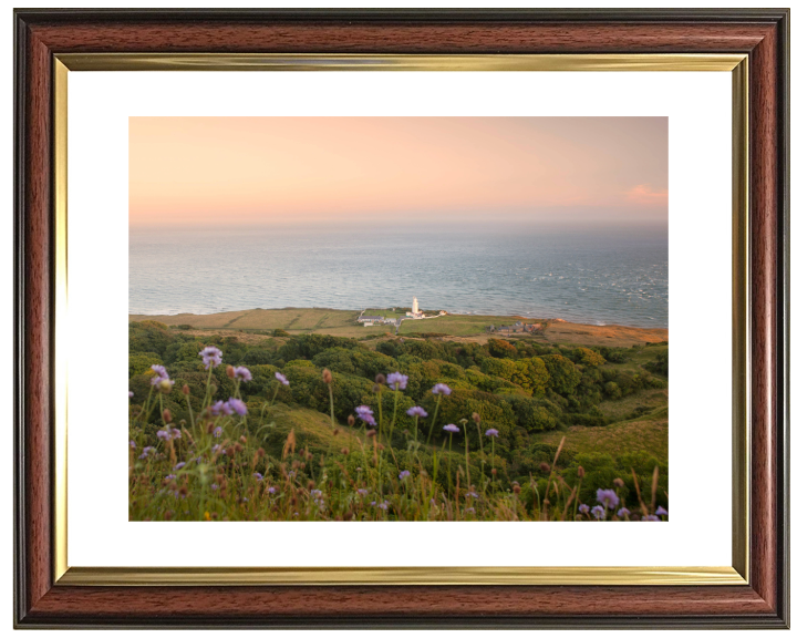 St. Catherine's Point at sunset Photo Print - Canvas - Framed Photo Print - Hampshire Prints