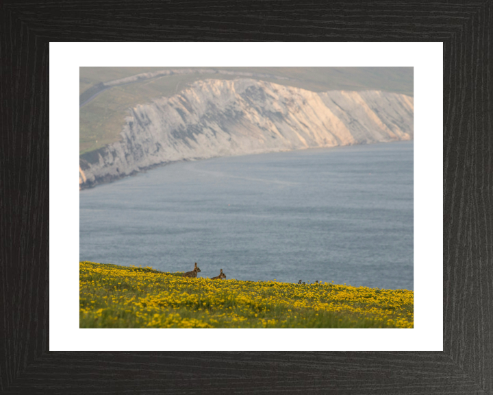 Tennyson down in the isle of wight Photo Print - Canvas - Framed Photo Print - Hampshire Prints