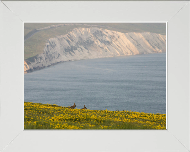 Tennyson down in the isle of wight Photo Print - Canvas - Framed Photo Print - Hampshire Prints