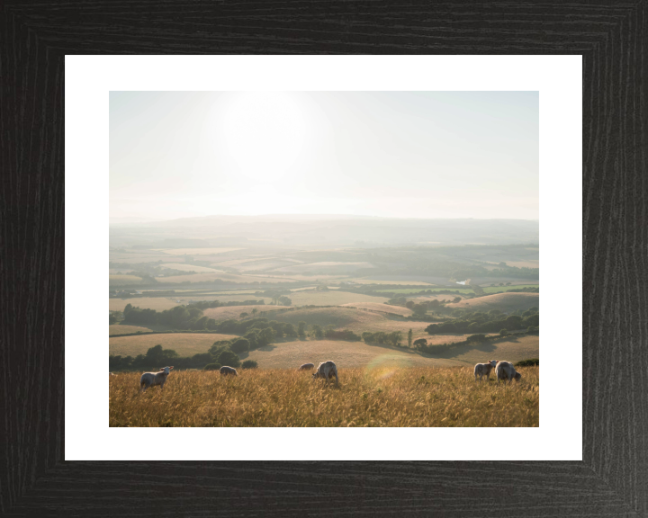 the Isle of Wight countryside Photo Print - Canvas - Framed Photo Print - Hampshire Prints