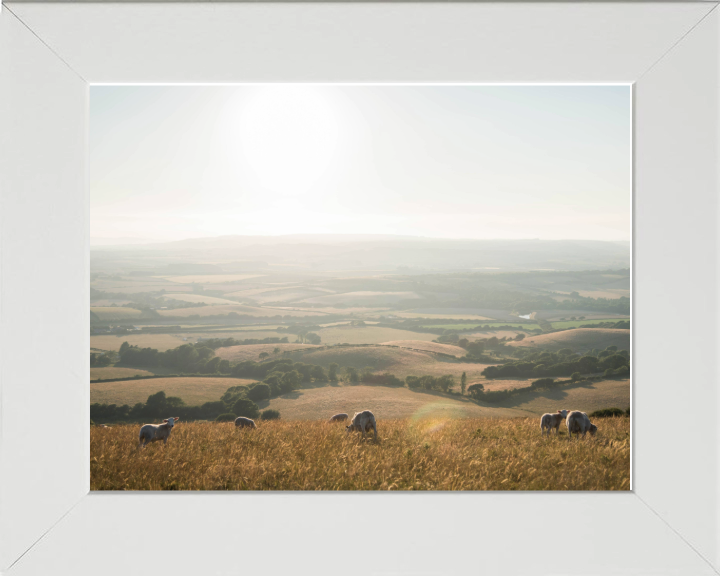 the Isle of Wight countryside Photo Print - Canvas - Framed Photo Print - Hampshire Prints