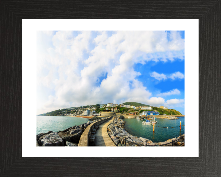 Ventnor isle of wight in summer Photo Print - Canvas - Framed Photo Print - Hampshire Prints