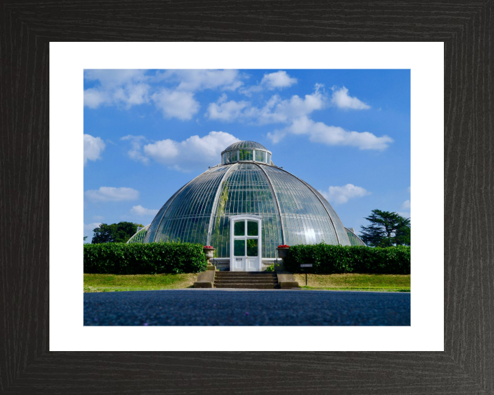 Kew Gardens in London Photo Print - Canvas - Framed Photo Print - Hampshire Prints