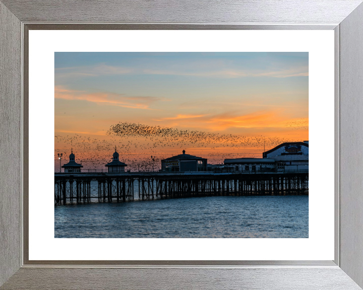 Blackpool North pier murmurations Photo Print - Canvas - Framed Photo Print - Hampshire Prints
