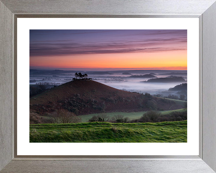 Colmers Hill Dorset at sunset Photo Print - Canvas - Framed Photo Print - Hampshire Prints