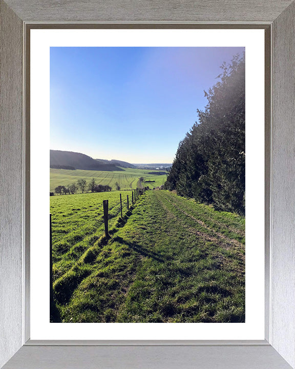 Kingley Vale National Nature Reserve West Sussex Photo Print - Canvas - Framed Photo Print - Hampshire Prints