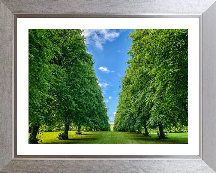 Stormont Estate Belfast Northern Ireland Photo Print - Canvas - Framed Photo Print - Hampshire Prints