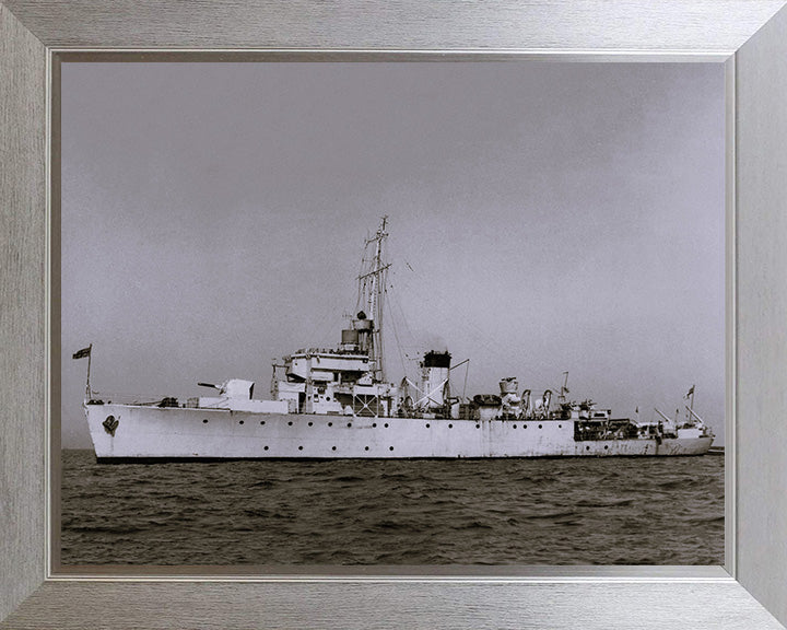 HMS Ready J223 Royal Navy Algerine class minesweeper Photo Print or Framed Print - Hampshire Prints