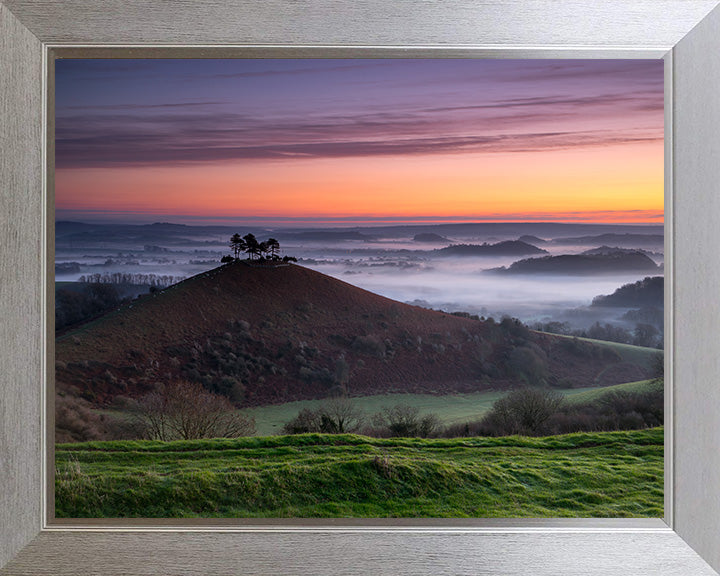 Colmers Hill Dorset at sunset Photo Print - Canvas - Framed Photo Print - Hampshire Prints