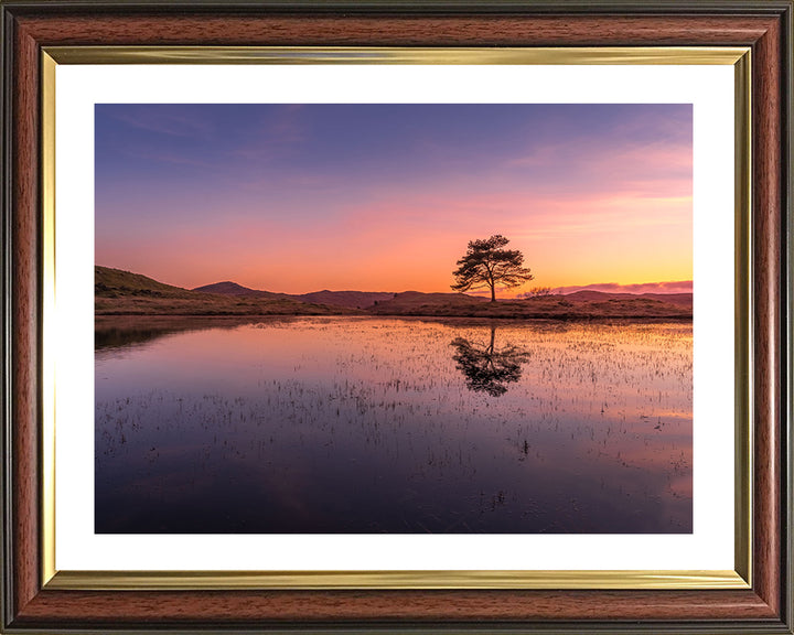 Kelly Hall Tarn Coniston Cumbria at sunset Photo Print - Canvas - Framed Photo Print - Hampshire Prints
