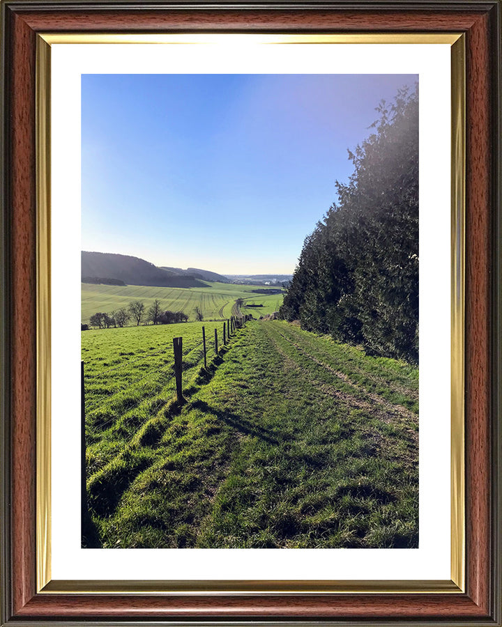 Kingley Vale National Nature Reserve West Sussex Photo Print - Canvas - Framed Photo Print - Hampshire Prints