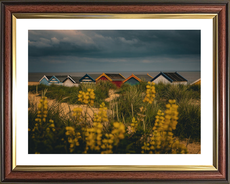 Beach huts at Southwold Beach Suffolk Photo Print - Canvas - Framed Photo Print - Hampshire Prints