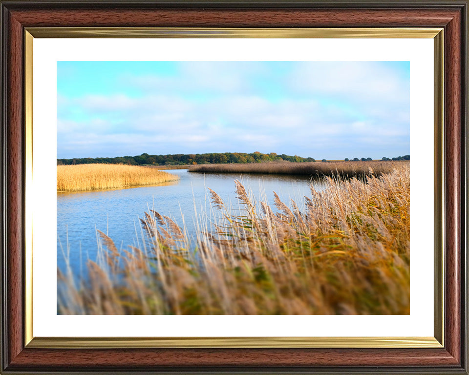 Snape Suffolk in summer Photo Print - Canvas - Framed Photo Print - Hampshire Prints