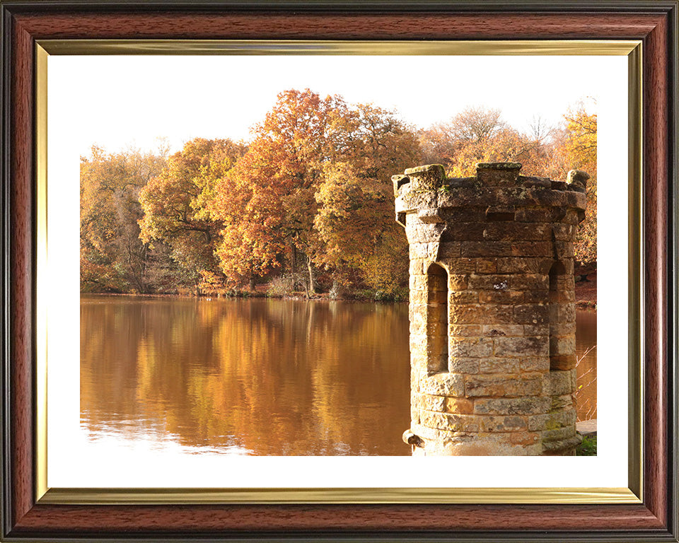 Buchan Country Park West Sussex in Autumn Photo Print - Canvas - Framed Photo Print - Hampshire Prints