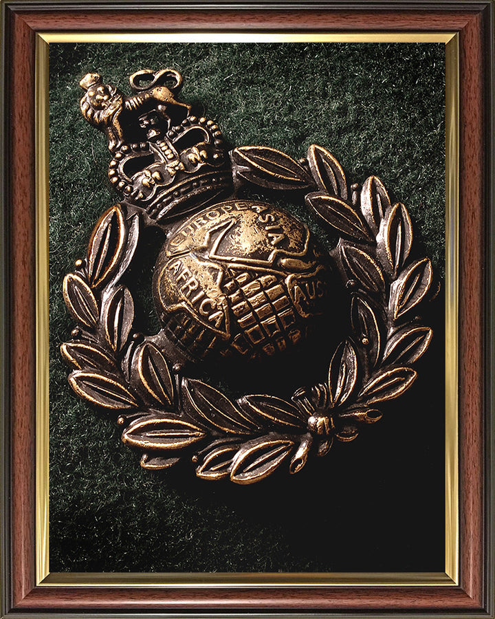 A close up of Royal Marines beret Badge Photo Print or Framed Photo Print - Hampshire Prints
