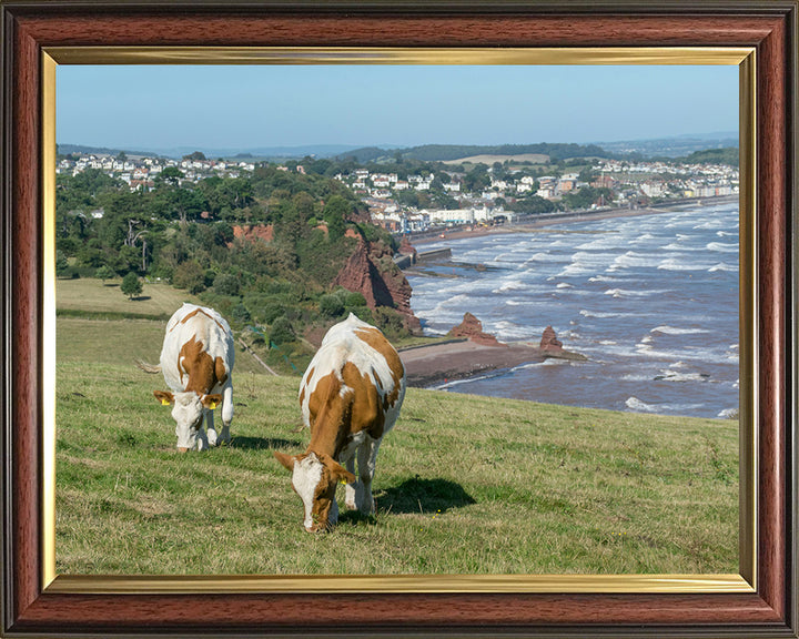 The Devon coast with Dawlish in view Photo Print - Canvas - Framed Photo Print - Hampshire Prints