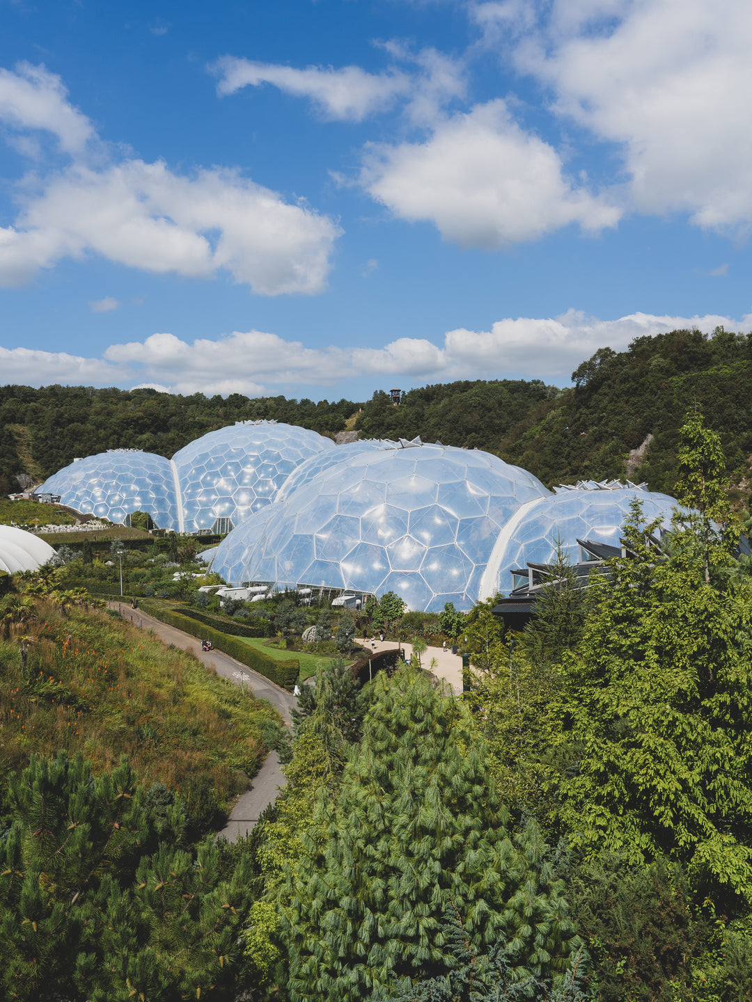 The Eden Project in Cornwall Photo Print - Canvas - Framed Photo Print - Hampshire Prints